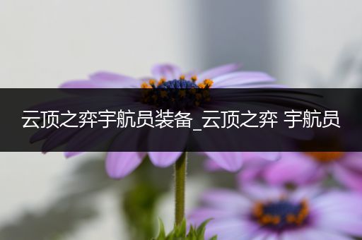 云顶之弈宇航员装备_云顶之弈 宇航员
