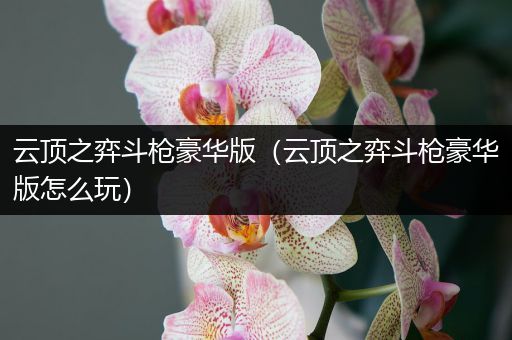 云顶之弈斗枪豪华版（云顶之弈斗枪豪华版怎么玩）