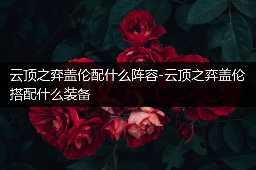 云顶之弈盖伦配什么阵容-云顶之弈盖伦搭配什么装备