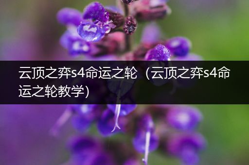 云顶之弈s4命运之轮（云顶之弈s4命运之轮教学）