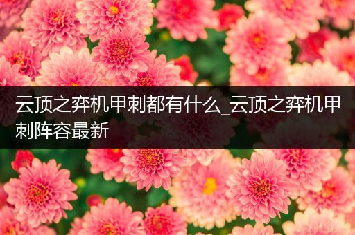 云顶之弈机甲刺都有什么_云顶之弈机甲刺阵容最新