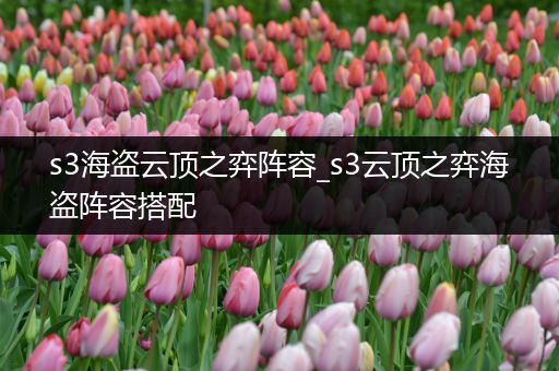 s3海盗云顶之弈阵容_s3云顶之弈海盗阵容搭配