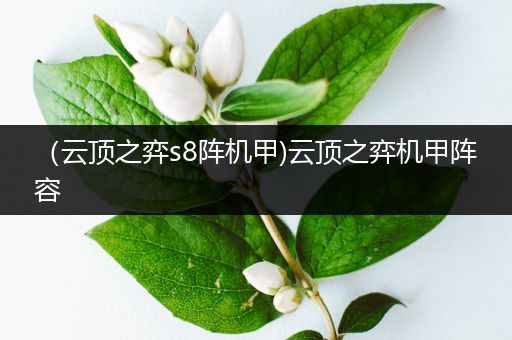 （云顶之弈s8阵机甲)云顶之弈机甲阵容