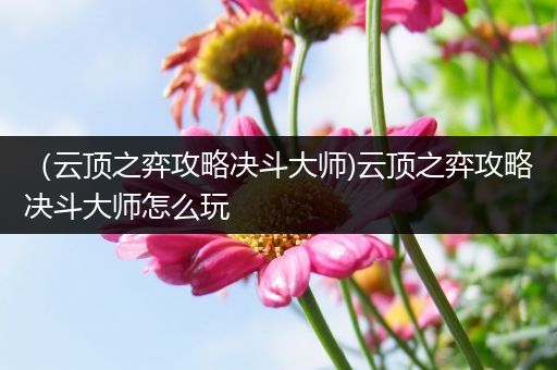 （云顶之弈攻略决斗大师)云顶之弈攻略决斗大师怎么玩