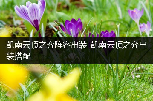 凯南云顶之弈阵容出装-凯南云顶之弈出装搭配