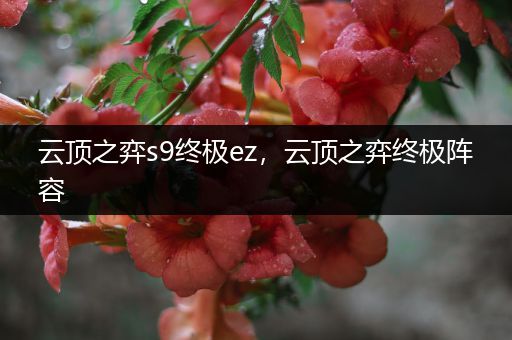 云顶之弈s9终极ez，云顶之弈终极阵容