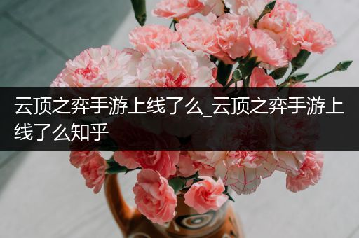 云顶之弈手游上线了么_云顶之弈手游上线了么知乎