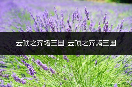 云顶之弈堵三国_云顶之弈赌三国