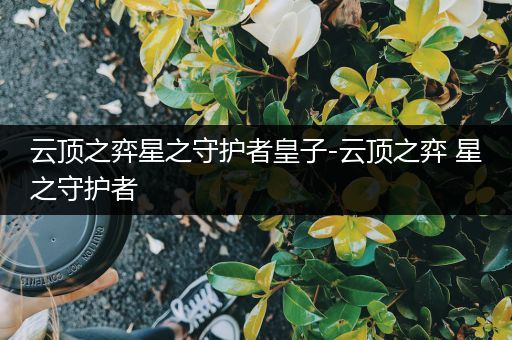 云顶之弈星之守护者皇子-云顶之弈 星之守护者