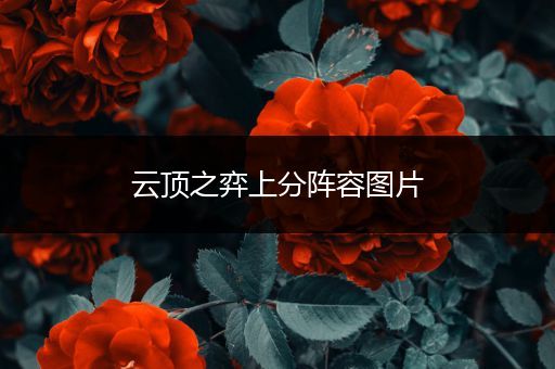 云顶之弈上分阵容图片