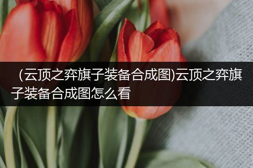 （云顶之弈旗子装备合成图)云顶之弈旗子装备合成图怎么看