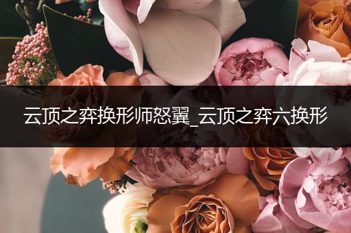 云顶之弈换形师怒翼_云顶之弈六换形