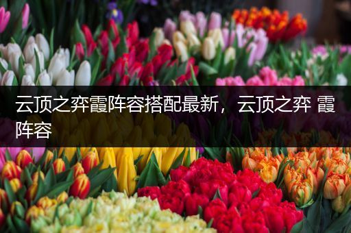 云顶之弈霞阵容搭配最新，云顶之弈 霞阵容