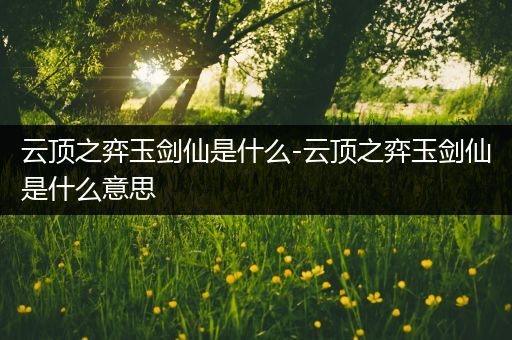 云顶之弈玉剑仙是什么-云顶之弈玉剑仙是什么意思