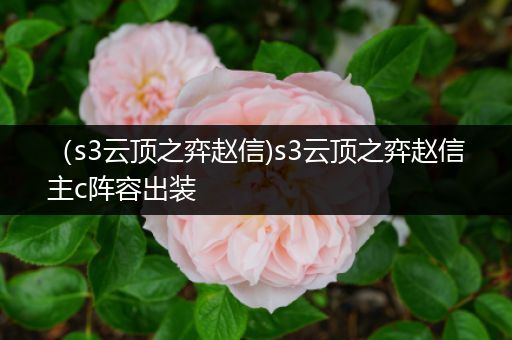 （s3云顶之弈赵信)s3云顶之弈赵信主c阵容出装