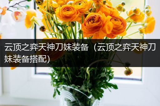 云顶之弈天神刀妹装备（云顶之弈天神刀妹装备搭配）