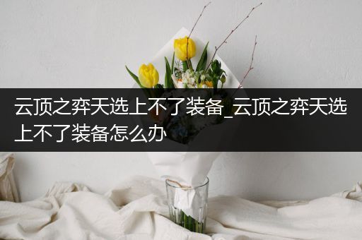 云顶之弈天选上不了装备_云顶之弈天选上不了装备怎么办