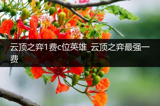 云顶之弈1费c位英雄_云顶之弈最强一费