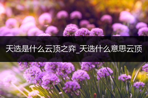 天选是什么云顶之弈_天选什么意思云顶