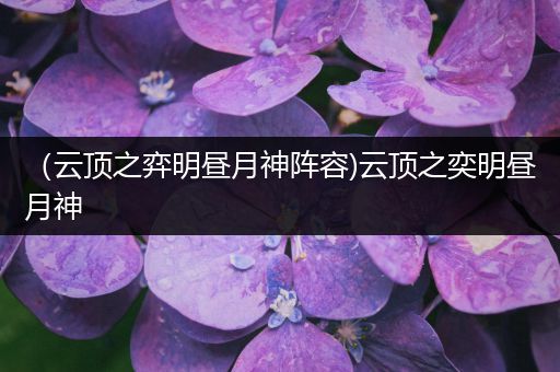 （云顶之弈明昼月神阵容)云顶之奕明昼月神