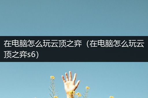 在电脑怎么玩云顶之弈（在电脑怎么玩云顶之弈s6）