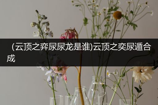 （云顶之弈尿尿龙是谁)云顶之奕尿遁合成