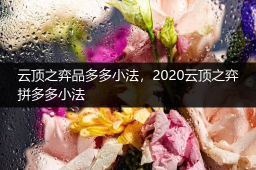 云顶之弈品多多小法，2020云顶之弈拼多多小法