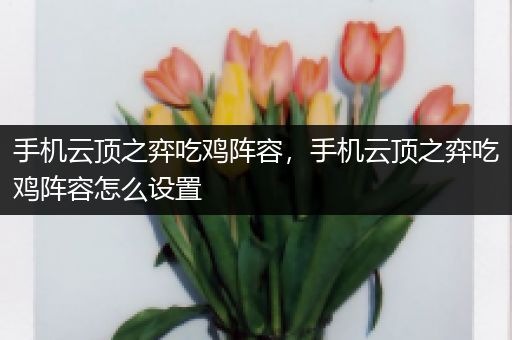 手机云顶之弈吃鸡阵容，手机云顶之弈吃鸡阵容怎么设置