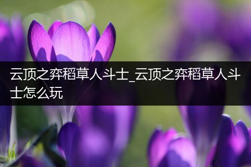 云顶之弈稻草人斗士_云顶之弈稻草人斗士怎么玩