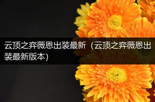 云顶之弈薇恩出装最新（云顶之弈薇恩出装最新版本）
