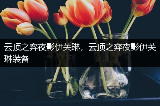 云顶之弈夜影伊芙琳，云顶之弈夜影伊芙琳装备
