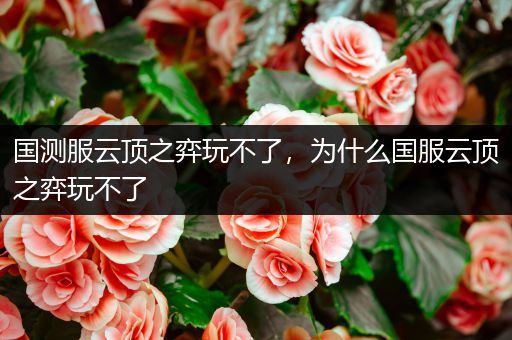 国测服云顶之弈玩不了，为什么国服云顶之弈玩不了