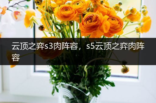 云顶之弈s3肉阵容，s5云顶之弈肉阵容