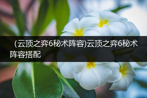 （云顶之弈6秘术阵容)云顶之弈6秘术阵容搭配