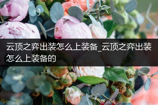 云顶之弈出装怎么上装备_云顶之弈出装怎么上装备的