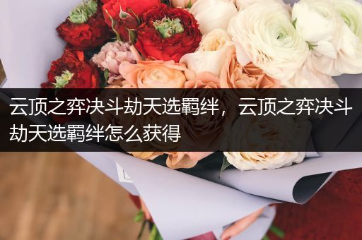 云顶之弈决斗劫天选羁绊，云顶之弈决斗劫天选羁绊怎么获得