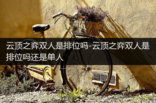 云顶之弈双人是排位吗-云顶之弈双人是排位吗还是单人