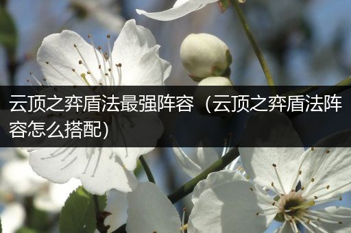 云顶之弈盾法最强阵容（云顶之弈盾法阵容怎么搭配）