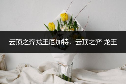 云顶之弈龙王厄加特，云顶之弈 龙王