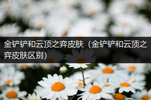 金铲铲和云顶之弈皮肤（金铲铲和云顶之弈皮肤区别）