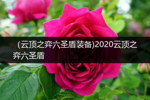 （云顶之弈六圣盾装备)2020云顶之弈六圣盾