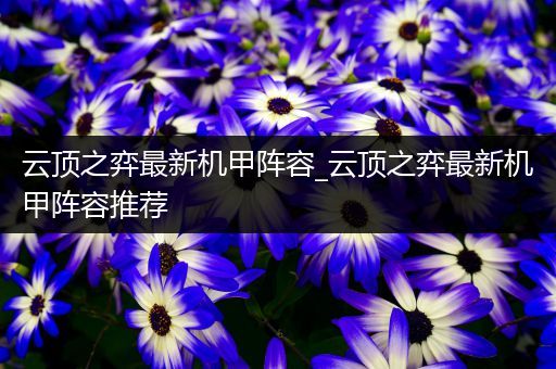 云顶之弈最新机甲阵容_云顶之弈最新机甲阵容推荐