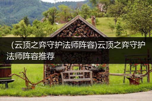 （云顶之弈守护法师阵容)云顶之弈守护法师阵容推荐