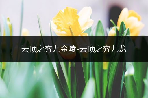 云顶之弈九金陵-云顶之弈九龙