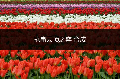 执事云顶之弈 合成
