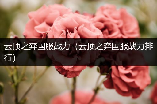 云顶之弈国服战力（云顶之弈国服战力排行）
