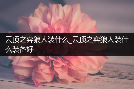 云顶之弈狼人装什么_云顶之弈狼人装什么装备好