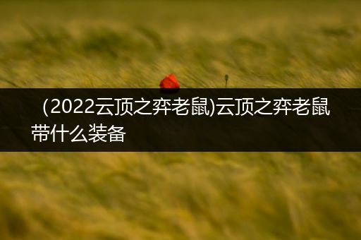 （2022云顶之弈老鼠)云顶之弈老鼠带什么装备