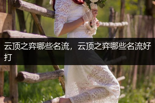 云顶之弈哪些名流，云顶之弈哪些名流好打
