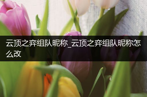 云顶之弈组队昵称_云顶之弈组队昵称怎么改